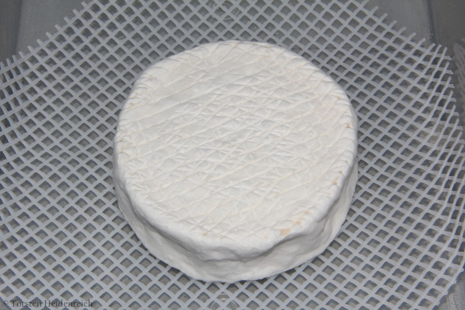 camembert selber machen camembert selber machen